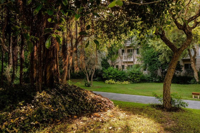 Mansion Garden